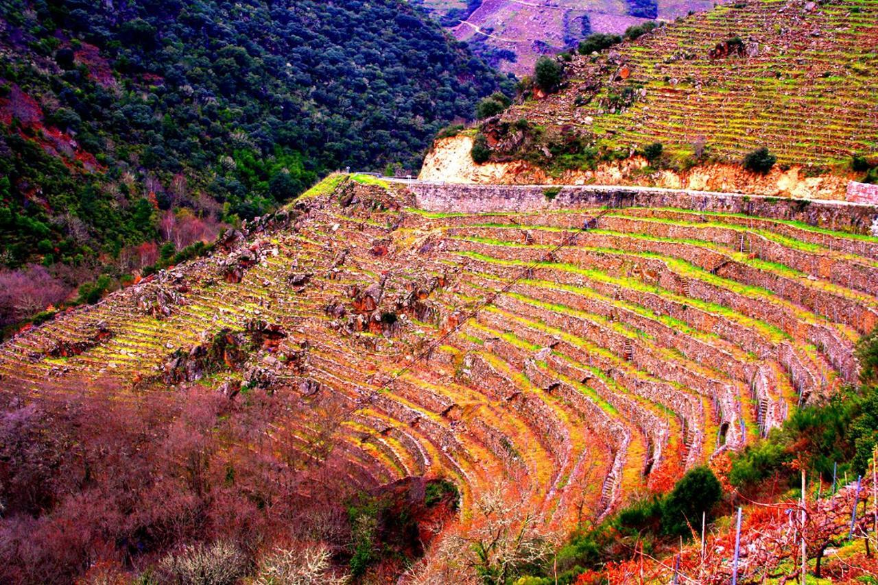 Castelodobispo - Ourense Sobrado del Obispo Exterior foto